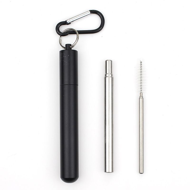 Portable Stainless Steel Straw_0006_img_2_Telescopic_Reusable_Straws_Cleaning_Brus.jpg