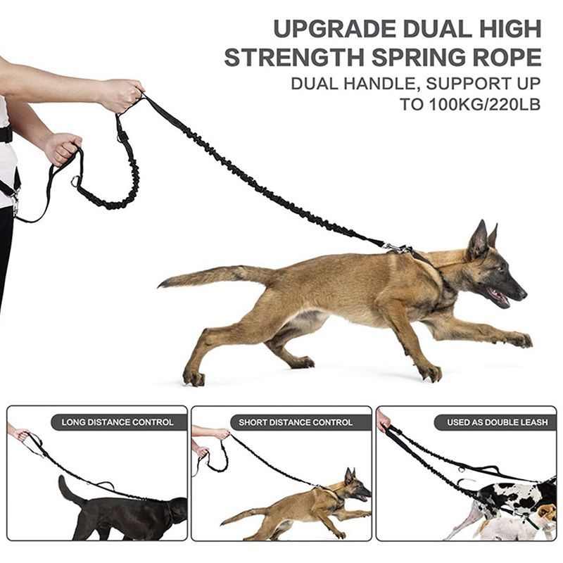 dog training Waist Bag_0009_img_11_Personalized_Dog_Training_Leash_Waist_Ba.jpg