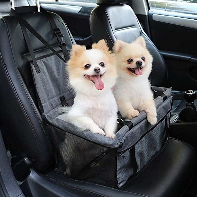 Car Dog Seat_0000_Layer 3.jpg