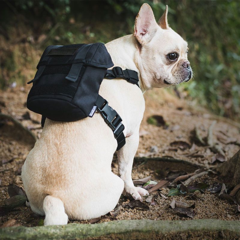 Sturdy Dog Backpack_0006_img_0_OneTigris_EUREKA_K9_Backpack_Small_Dog_T.jpg
