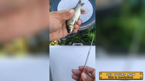 Magnetic Fishing Hook Remover