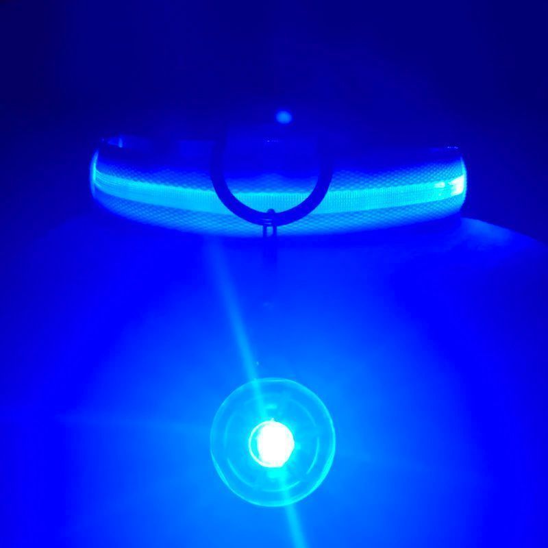 USB Charging Glowing Dog Collar1.jpg