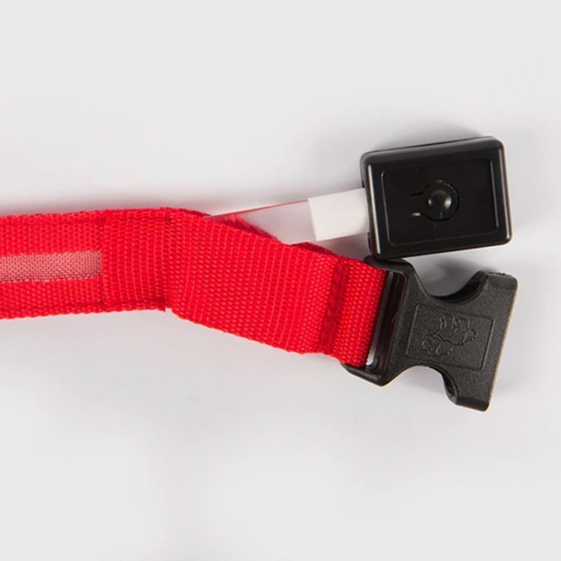 USB Charging Glowing Dog Collar14.jpg
