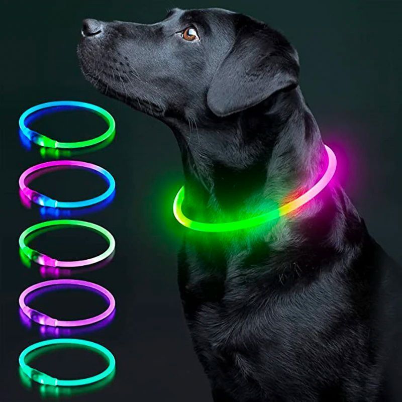 USB Charging Glowing Dog Collar2.jpg