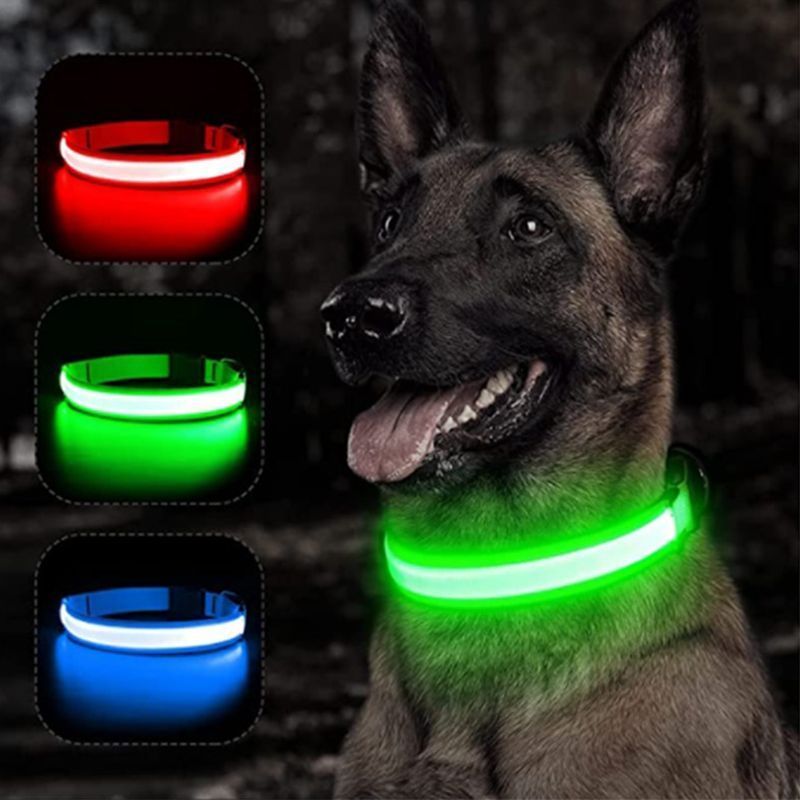 USB Charging Glowing Dog Collar3.jpg