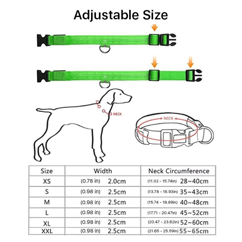 USB Charging Glowing Dog Collar6.jpg