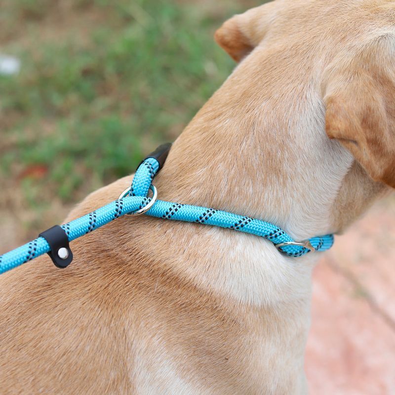 reflective dog leash10.jpg