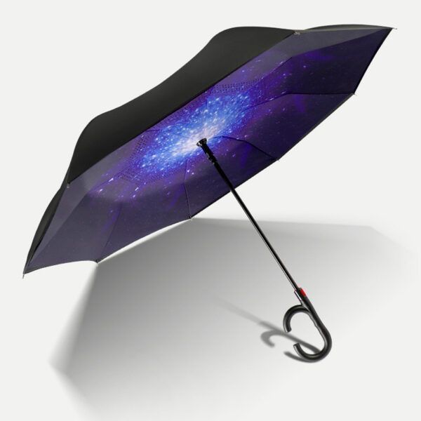 Inverted Umbrella12.jpg