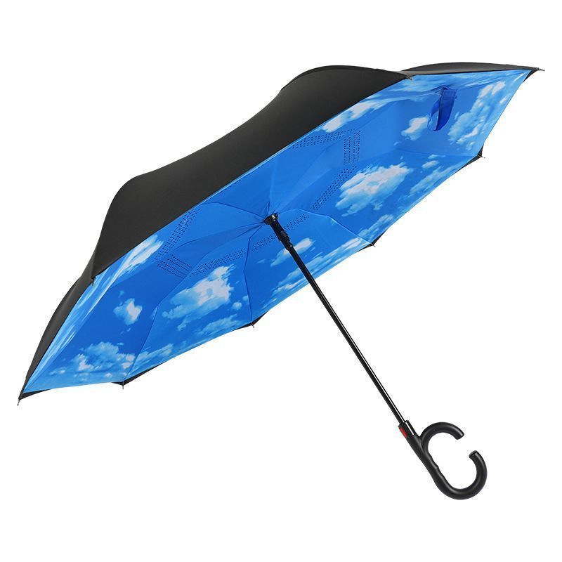 Inverted Umbrella2.jpg