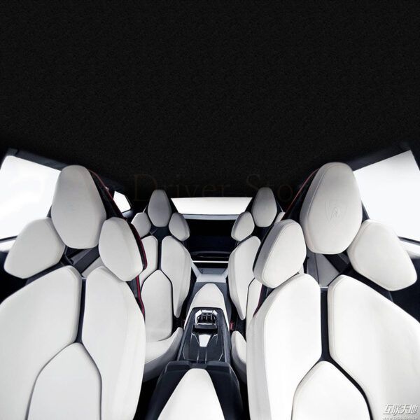 Luxury Car Seat Cover_0016_Gallery-0.jpg