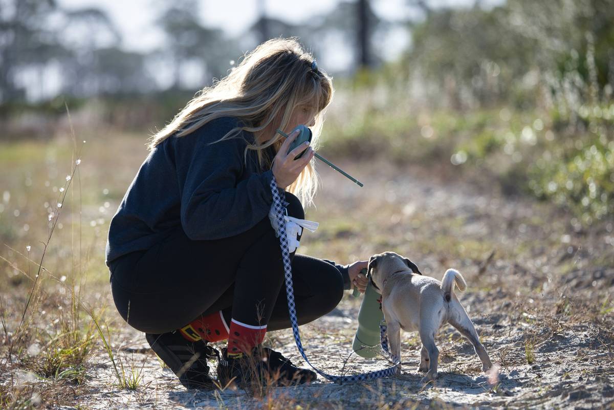 Recall Tips That Actually Work: Stop Chasing Your Dog and Start Calling Them Home