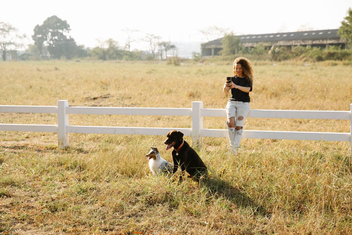How to Master Quick Recall: The Lifesaving Skill Every Dog Owner Needs