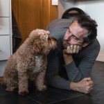 Distraction Focus: 7 Proven Tips to Avoid Costly Recall Training Mistakes