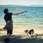 Dog Emergency Recall: 7 Proven Ways to Avoid Life-Threatening Mistakes