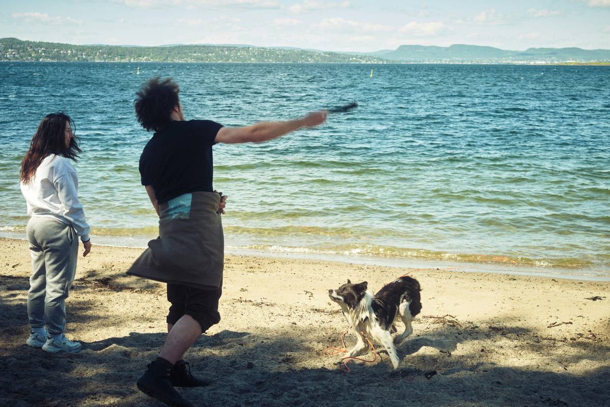 Dog Emergency Recall: 7 Proven Ways to Avoid Life-Threatening Mistakes