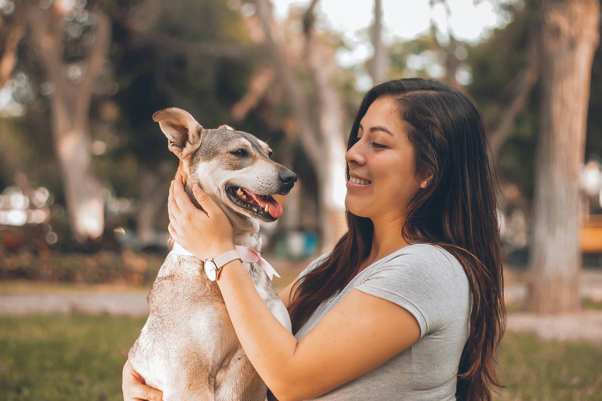 Dog ignoring owner's recall command while chasing a squirrel, demonstrating need for proof reliability