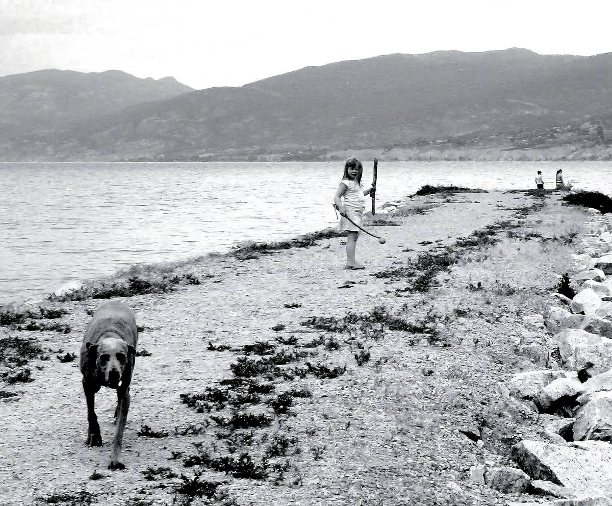 Dog running back to owner across a field demonstrating effective recall range